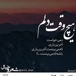 lelia -ali-v-c-b - @leliaalivc - Instagram
