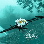 lelia-ali-c-v-b - @leliaalicvb - Instagram