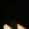 Pjenshne - @leliaarmstrong2 - TikTok