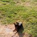 Leila Arnold - Facebook