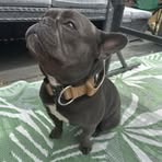 Lyle Garner - Facebook