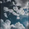 leilahebert - @leilahebert1 - TikTok