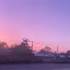 ℒℯ𝒾𝓁𝒶 - @leilahogan - TikTok