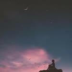 LeliaMarcus Pearson - @leliamarcus - Instagram