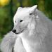 Lelia May Dutton - Facebook