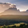LeilaRoach - @leilaroach - TikTok