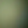 Lelia Wiggins - @lelia.wiggins - TikTok