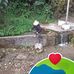 Lelis Ortiz - Facebook