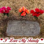 Lem Williams Jr. - @lem_williams - Instagram
