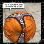 Royce Kimball - @lemuel.kimball.904 - Instagram