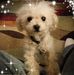 Lemuel Powell - Facebook