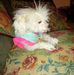 Lemuel Powell - Facebook