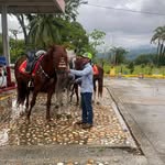 Lemuel Ramos - @lemuel_ramos_502 - Instagram