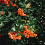 Lemuel Ward - @jenn_ydav.is - Instagram