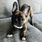Addison Lenz - Facebook