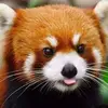 Len.Archer - @len.archer - TikTok