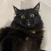 Lenash - @le.na.sh - TikTok