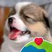 Len Atencio - Facebook