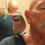 Len Baker - @lenbaker1313 - Instagram