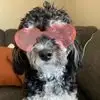 bennettthelen - @bennett.thelen - TikTok