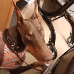 Len Berman - @lenberman6 - Instagram