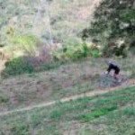 Lenie Ramos - @lenbiker - Instagram