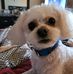 Lenora Blanchard - Facebook
