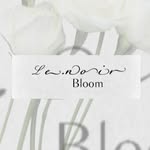 Le Noir Bloom - @le.noirbloom - Instagram