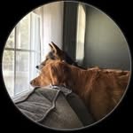 Len Brooks - @lenbrooks74 - Instagram