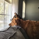 Len Brooks - @lennyb812 - Instagram