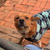 Kaylen Bruce - @kaylen.bruce - TikTok