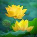 Len Cao - Facebook