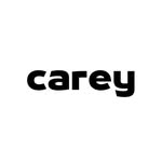 carey | lentes de sol - @carey.lentesdesol - Instagram