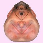Len Carr - @lenfb - Instagram