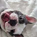 Len Carr - @len.carr - Instagram
