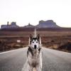 Allen Clapp - @allen_clapp69 - TikTok