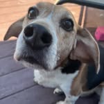 Len Clark - @stubbyguy727 - Instagram