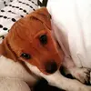 Lene - @lene.clegg.xx - TikTok