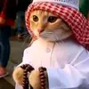 Lena Cline - @lena.cline6 - TikTok
