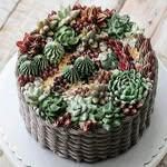 @lencook_ - Instagram