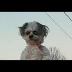 Skylen copeland - @skylencopeland5068 - Instagram