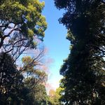 Lenard Crook - @lenardcrook - Instagram