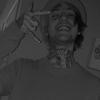 no one - @lenadamiano - TikTok
