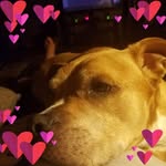 Len Doughty - @doughtylen - Instagram