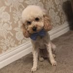 @lenny.doughty - Instagram