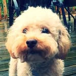 Lenny - @lennyxdoughty - Instagram