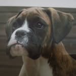 Len Dyer - @len.dyer.923 - Instagram