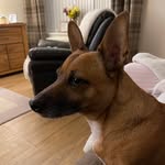 Len Elliott - @lncelliott - Instagram