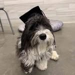 Len Elliott - @lenelliott80 - Instagram