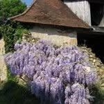 Nancy Falconer - @falconerlenscapes - Instagram